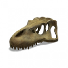 Prehistoric Valley T-Rex Skull